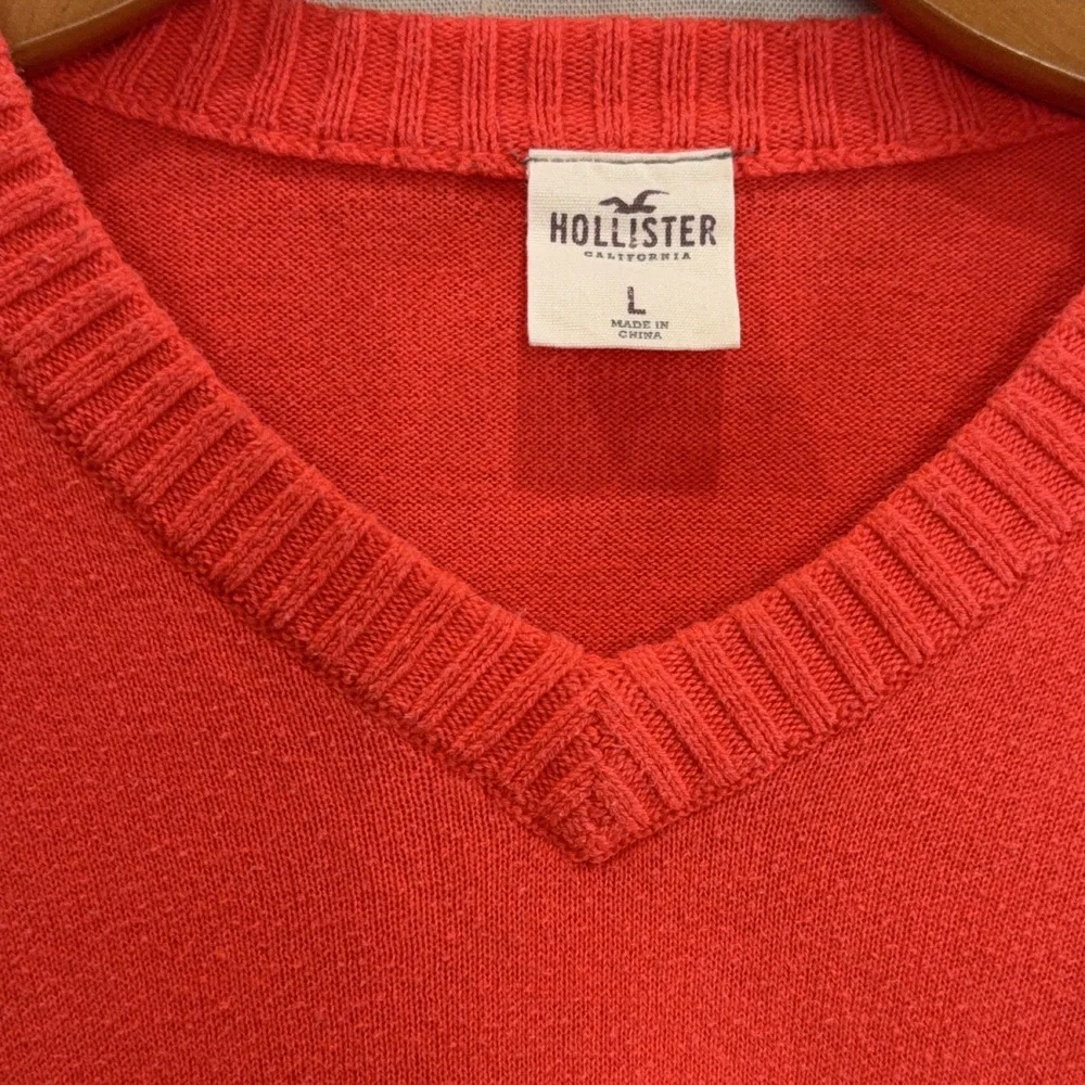 Hollister V-Neck Sweater Men's L Orange Long Sleeve Seagull Logo Knit